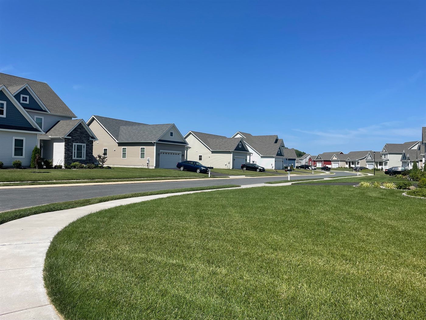 Homes along a street at Coursey's Point