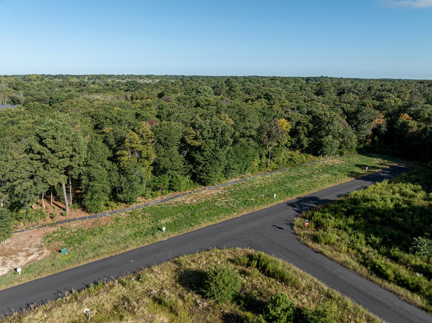 Wooded road into Kew Garden